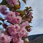 Klimorowka Appartamento *